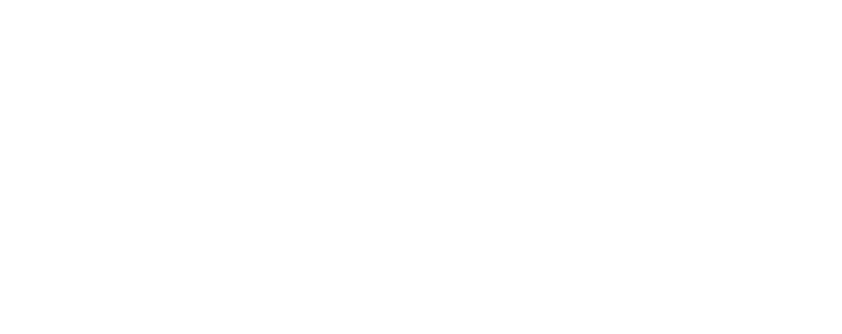 Logo | Flayover